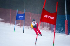 A42V0209-Niestandardowy