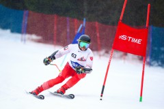 A42V0452-Niestandardowy