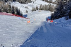 IMG20260131113143