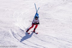 DSC00656-Poprawione-Szum