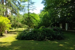 IMG20210612111815