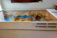 IMG-20220613-WA0001